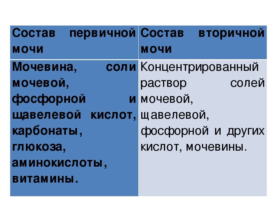 Состав первичной мочи. Состав первичной мочи человека. Состав и функции первичной мочи. Состав первичной мочи и плазмы крови.