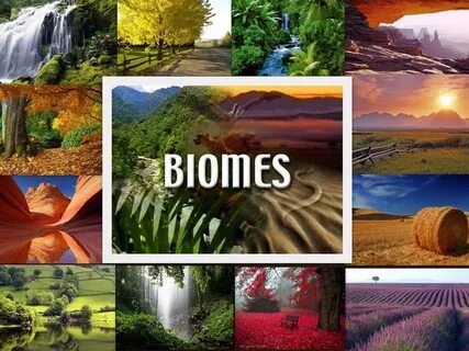 Biome music