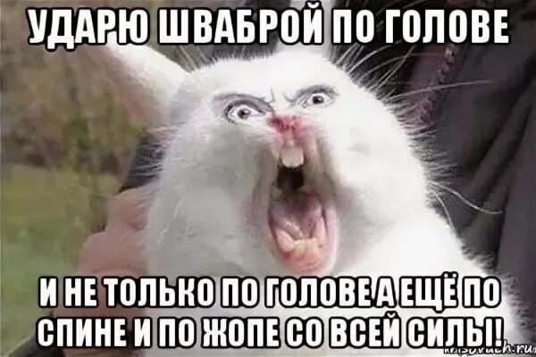 Пустая голова юмор. Этом она не дает голове. Декстер мем. Шутки про голоса в голове. Мемы про голоса в голове.