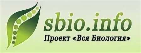 Info project