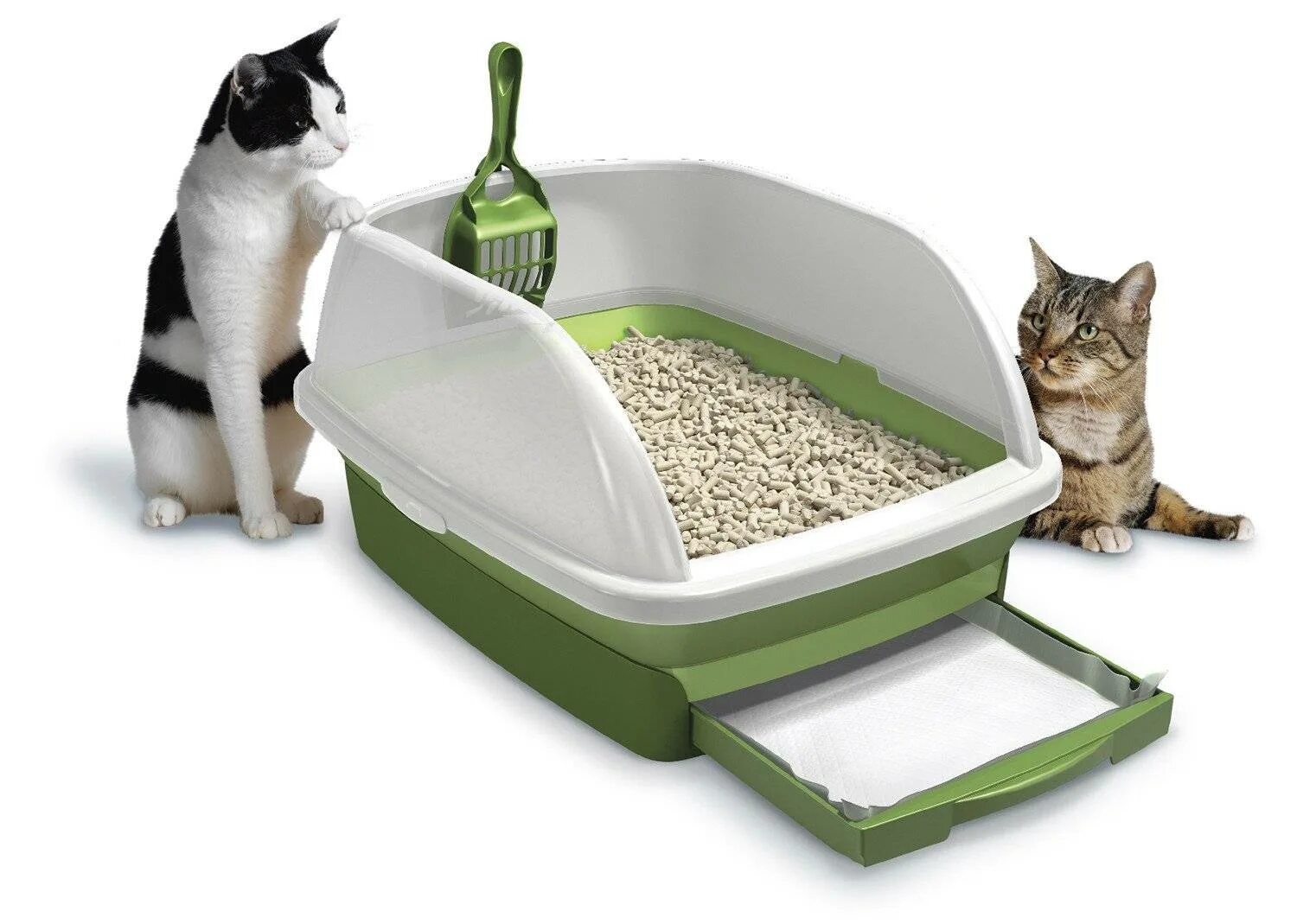 Как часто меняют кошачий туалет. Наполнитель для кошачьего туалета cat litter. cat litter box туалет для кошек. кошачий наполнитель кэт литтер. кошачий наполнитель древесный cat litter 10л.