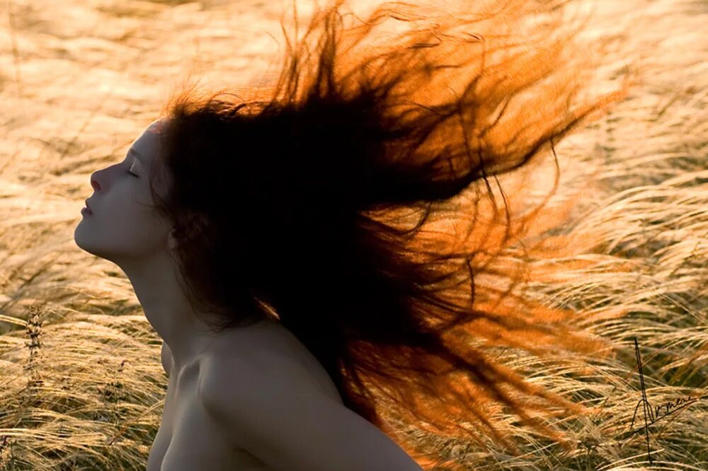 Развивающиеся волосы. Волосы развеваются на ветру. Девушка на ветру. Девушка с развевающимися волосами. Было темно дул ветер
