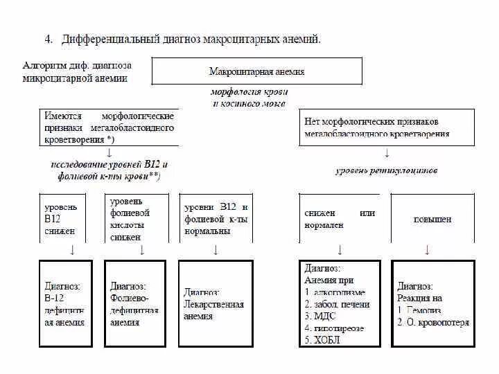 Основы дифференциальной диагностики. Дифференциальная диагностика макроцитарной анемии. алгоритм диагностики анемии. дифференциально-диагностический поиск нормоцитарной анемии. диагностический алгоритм диагностики анемии.