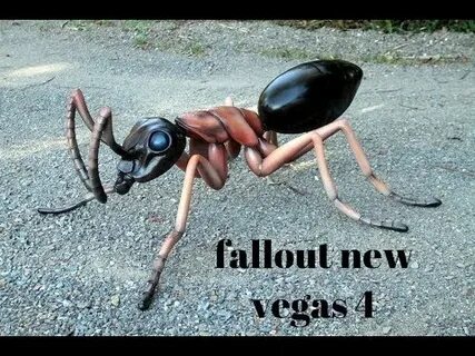 4 ants