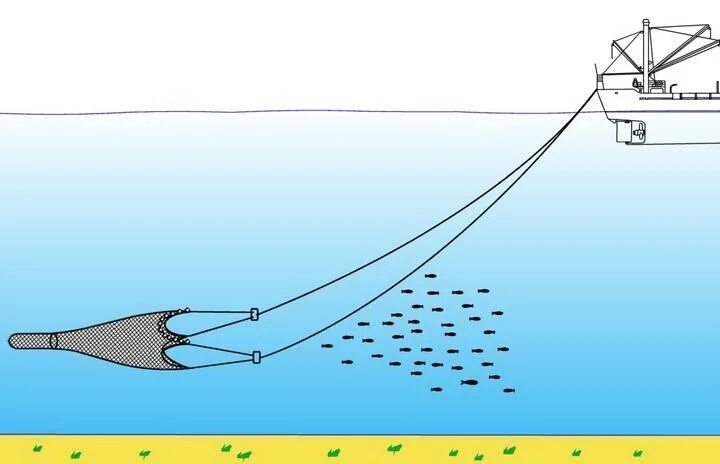 Донная сеть. Донная сеть. Ставные невода чертеж. Ставные невода чертеж. Донный трал.