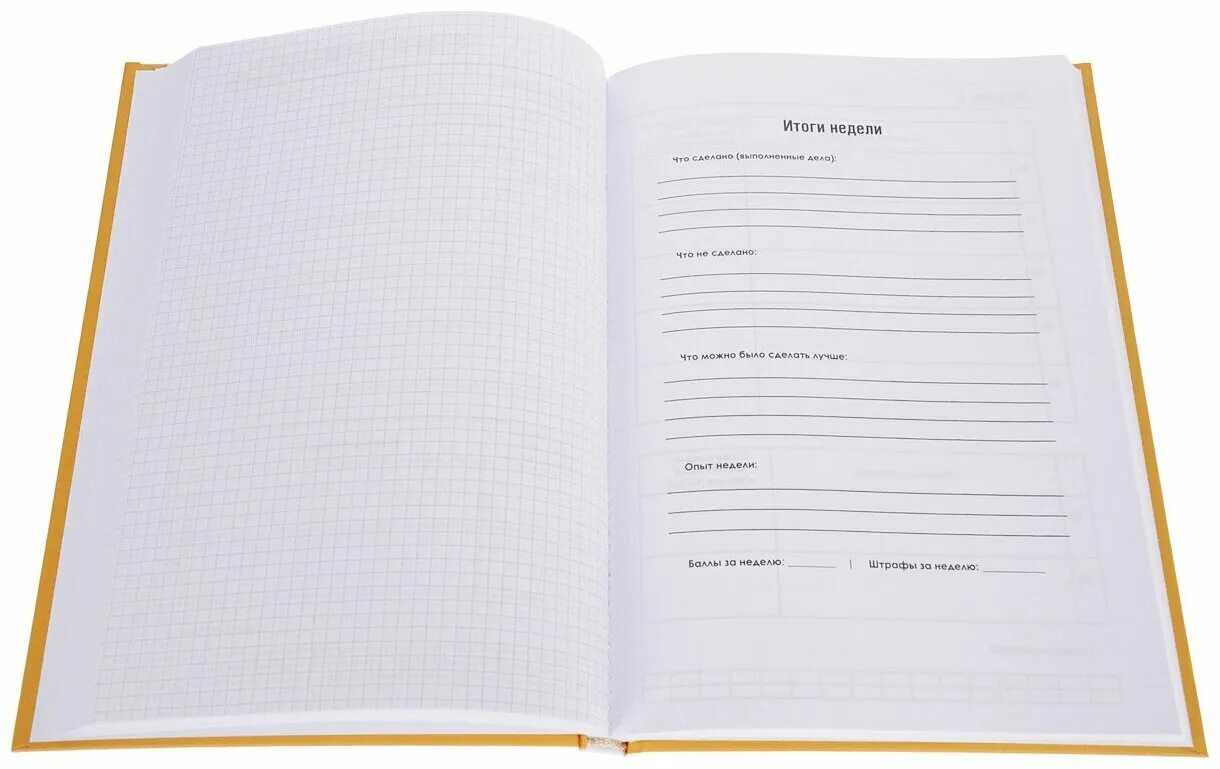 планирование 12 недель.