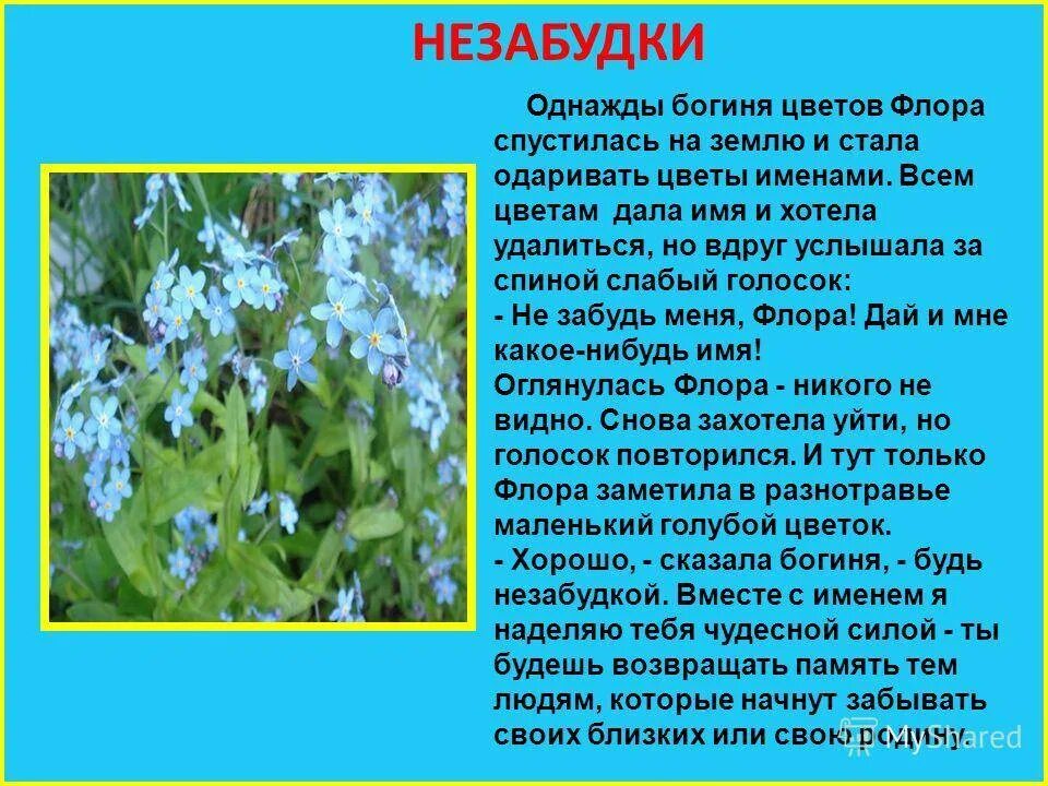 Легенды о животных 2 класс окружающий мир. Легенды о цветах. Легенды о весенних цветах. Короткие легенды о цветах. Легенды о растениях весеннего цветника.