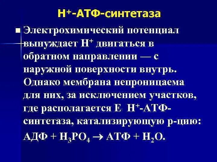 Атф выполняет функцию. Атф синтетаза. протонная атф синтетаза. функции атф синтетазы. строение атф синтетазы.