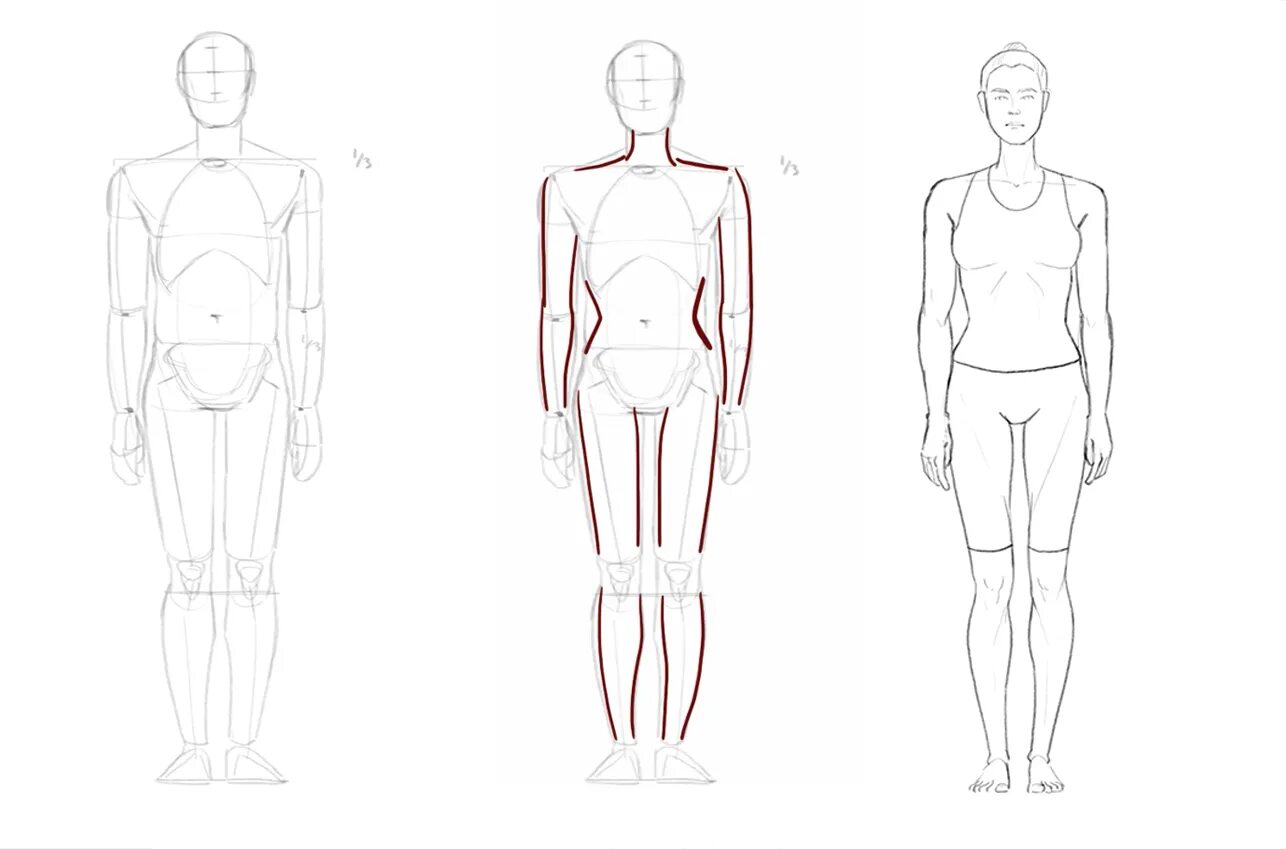 Тип рисования человека. Поэтапное рисование человека. Тело рисунок. Фигура человека. Человек рисунок.