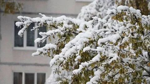 На землю выпал снег