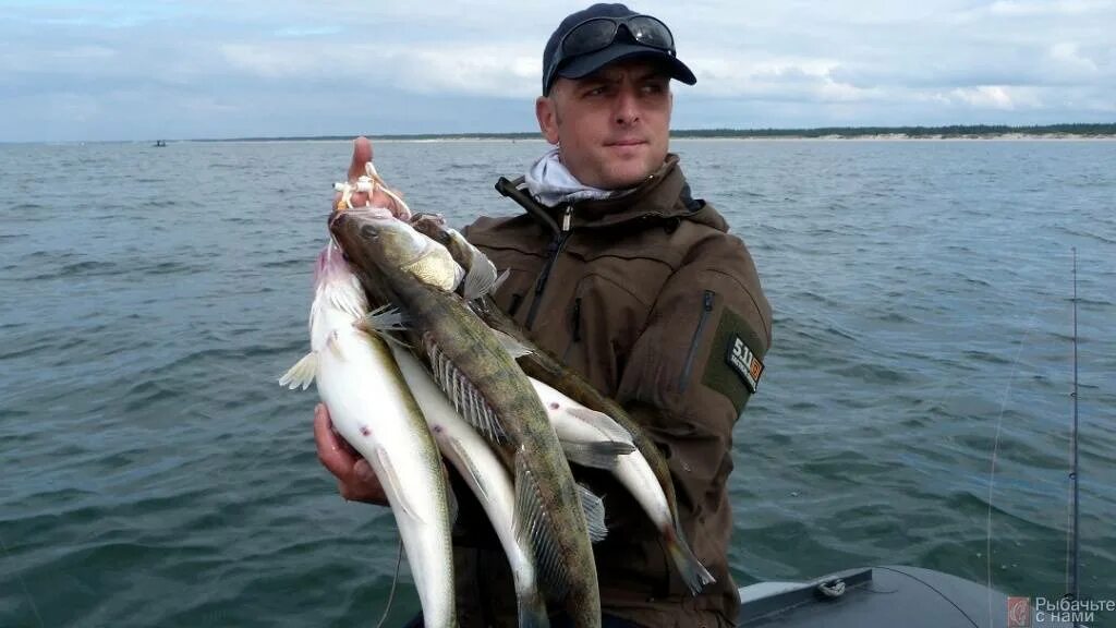 Ловля спиннингом черное море. Рыбалка на Балтийском море. Морская рыбалка на Балтике. Черноморская рыбалка. Рыболовство в черном море.