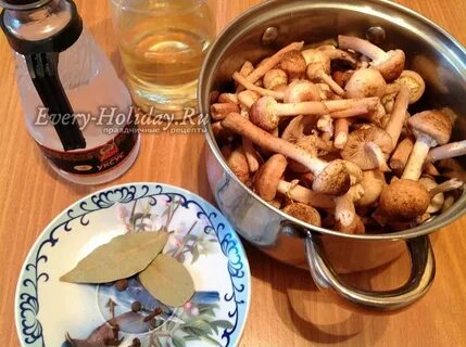 Самый вкусный рецепт опят на зиму