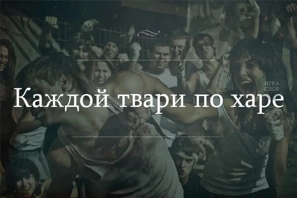 Ты тварь картинка. Божья тварь человек. Человек ты или тварь дрожащая. Поговорка каждой твари по паре. Каждой твари по твари.