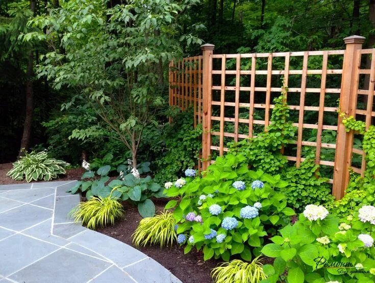 20+ Creative Tips To Growing Grape In Your Home Backyard Ideas Garden trellis de