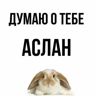 Имя аслан национальность