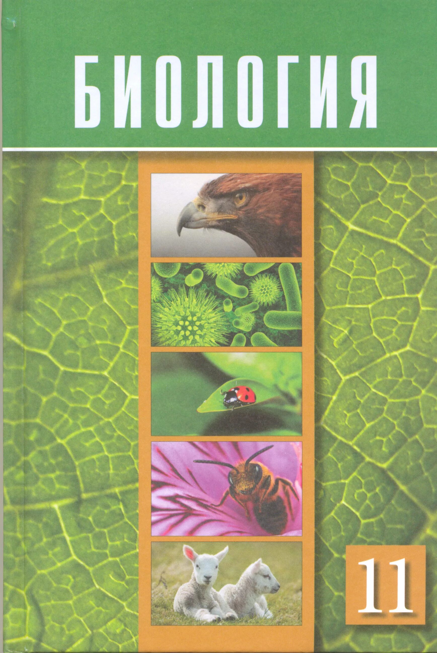 Биология. Биология 11 класс. Биология 11 класс Казахстан. Биология. 7 Класс. Учебник. 11 сынып биология тжб