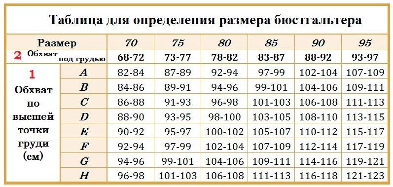 75 Размер бюстгальтера это какой размер. Размер бюстгальтера 80с. Как определить размер бюстгальтера 80с. Размер 80 с бюстгальтер какой размер.