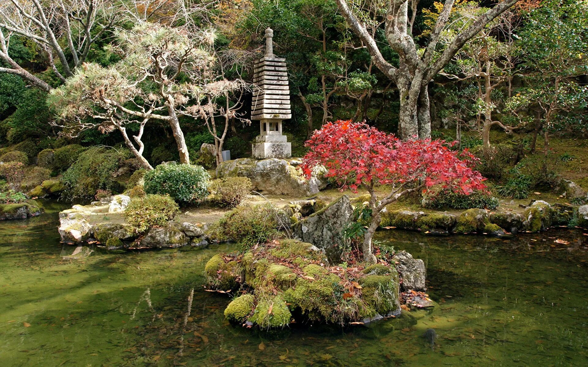 Ботанический сад вднх японский сад. Главный ботанический сад имени цицина японский сад. Японский ботанический сад цицина. Японский сад гбс ран. Сад камней в японии презентация.