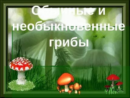 Грибы родного края