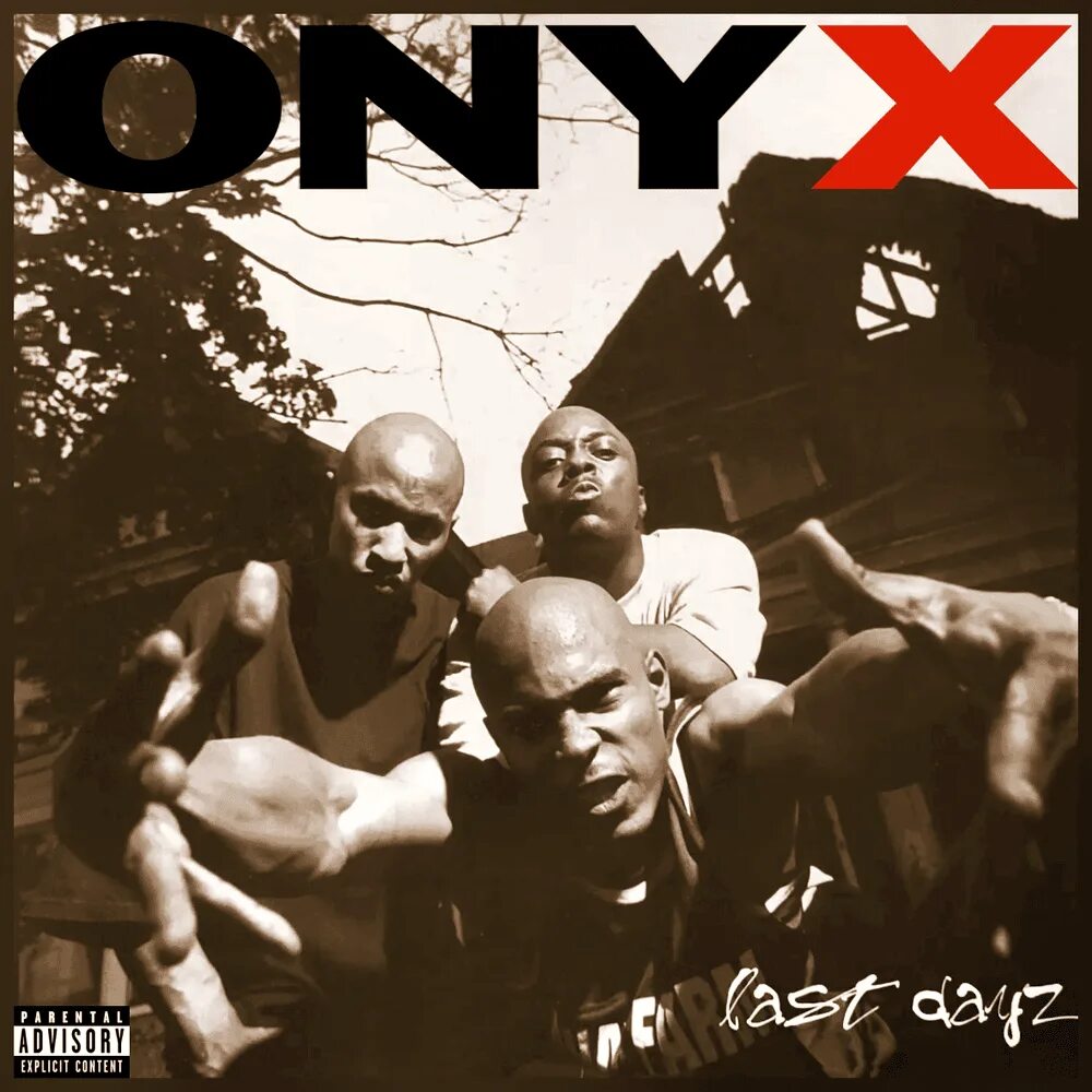 Onyx last dayz. Onyx dayz. Onyx last dayz. Dayz обложка. Dayz игре обложка.
