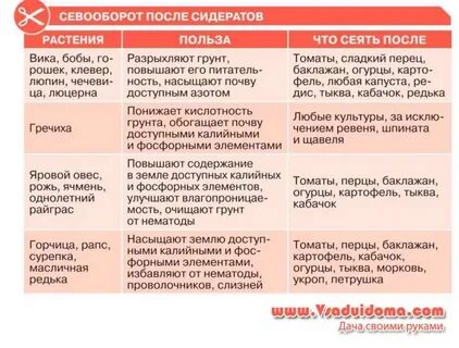 После чего ее нужно