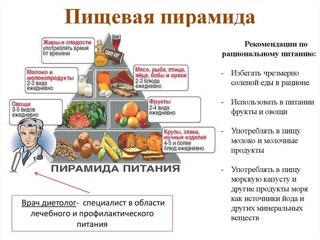 Пищевая пирамида 5 класс технология дневной рацион. Основы рационального питания пирамида питания. Пирамида здорового питания 5 класс технология. Пирамида здорового питания в картинках по технологии 5. Питание основные органы