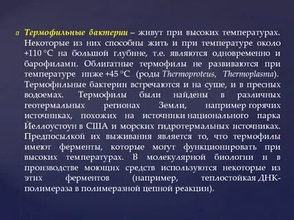 Термофилы