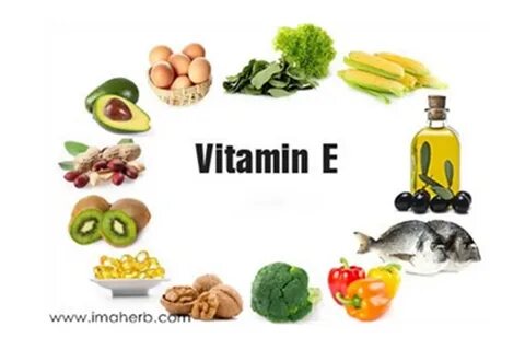 E food
