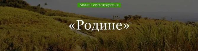 Стихотворение белого родине. Андрея белого родине 1917. Стихотворение Родина белый.