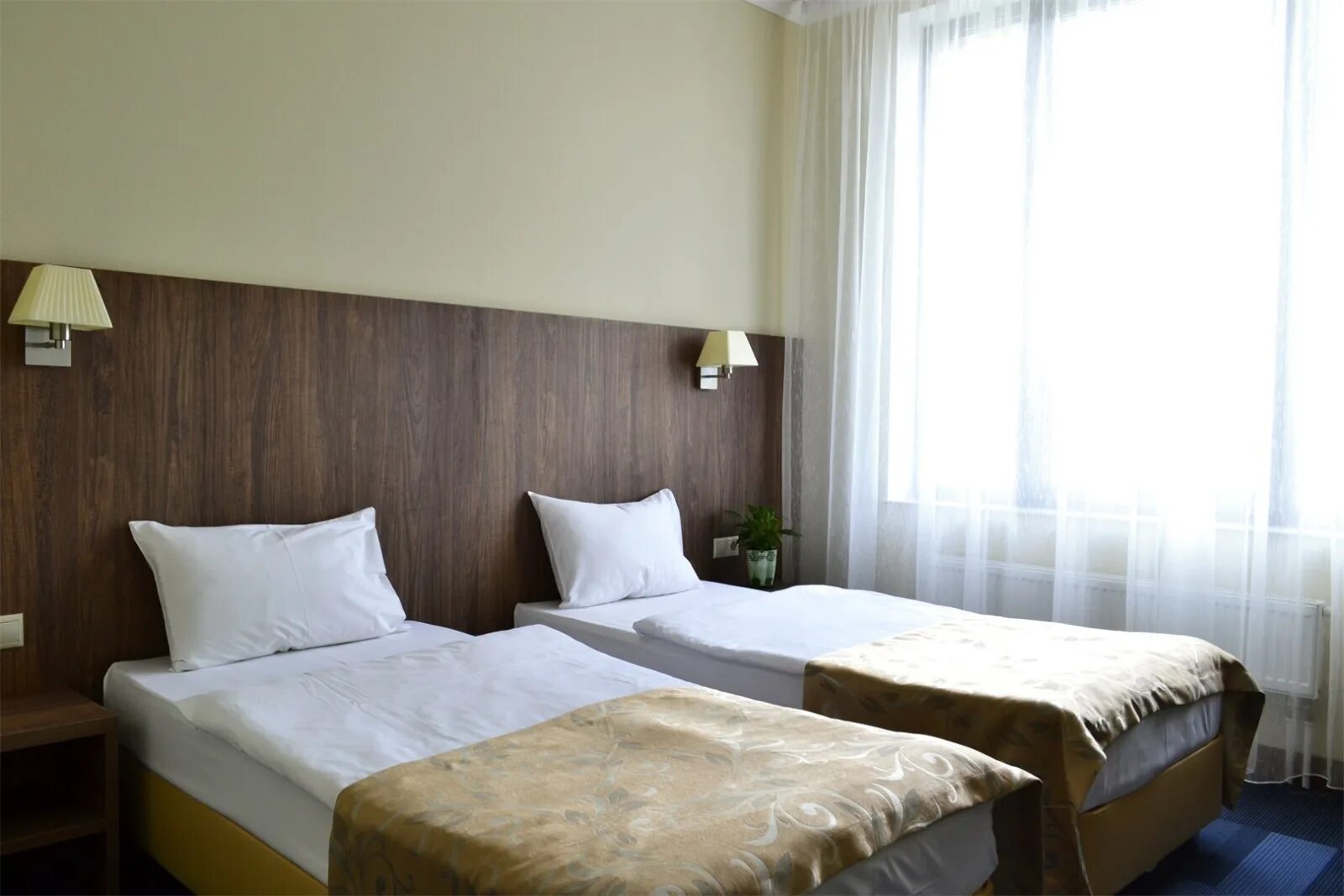 Отель скайпоинт москва. Skypoint hotel корпус гамма. skypoint отель шереметьево фото. скайпоинт номера. отель шереметьевский.