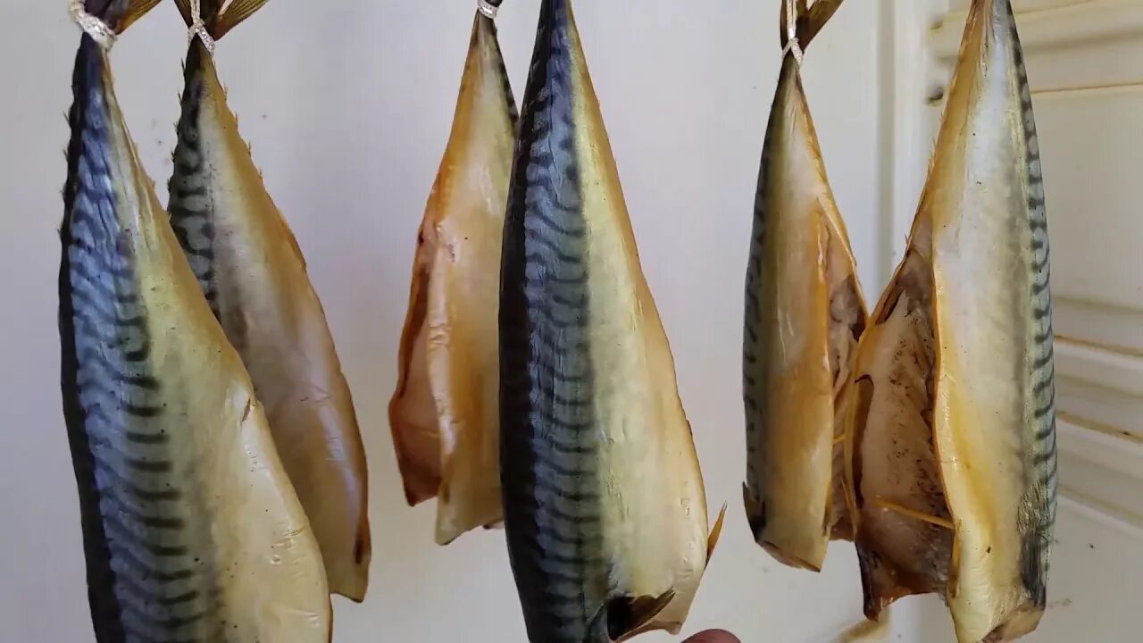 Скумбрия холодного копчения с дымогенератором. Скумбрия холодного копчения. рыба холодного копчения похожа на скумбрию. скумбрия холодного копчения в коптильне с дымогенератором. скумбрия охлажденная.