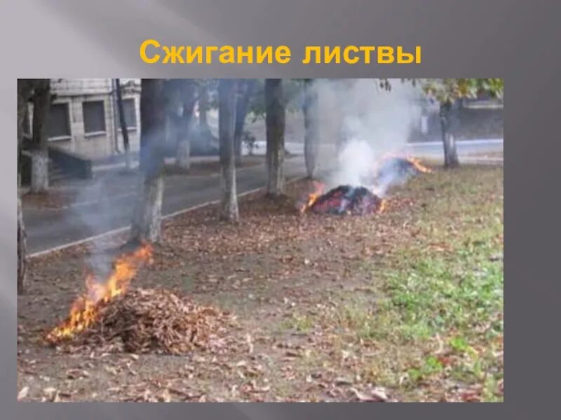 Природа не прощает ошибок