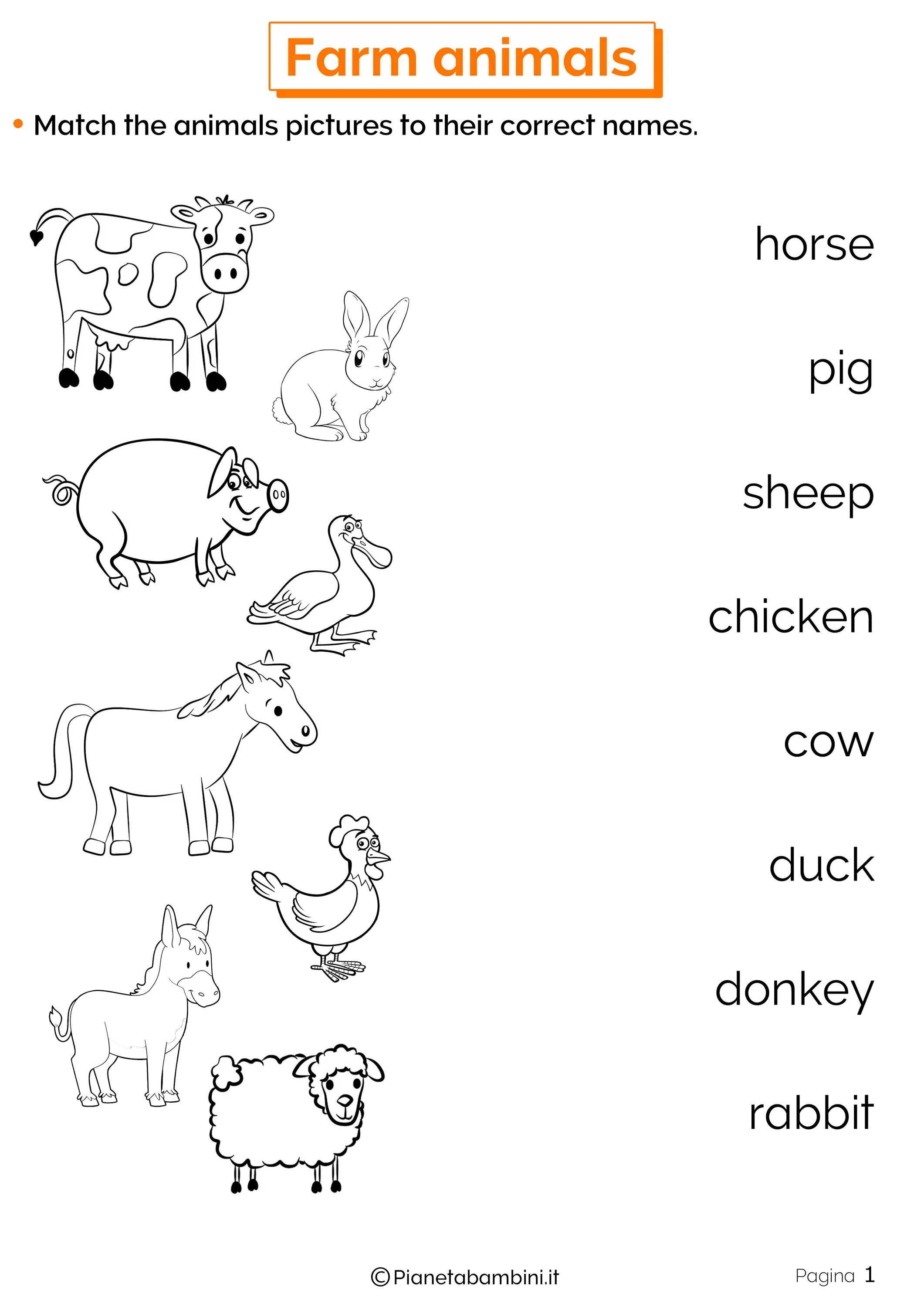 Нарисовать животное 3 класс английский язык. Задания по английскому животные. Домашние животные на английском задания. Задания на тему животные на английском. Задания для малышей на тему животные на английском.