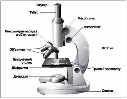 Микроскоп Рисунок - Открытки kартинки