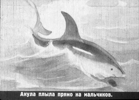 Нарисовать рисунок к рассказу толстого акула