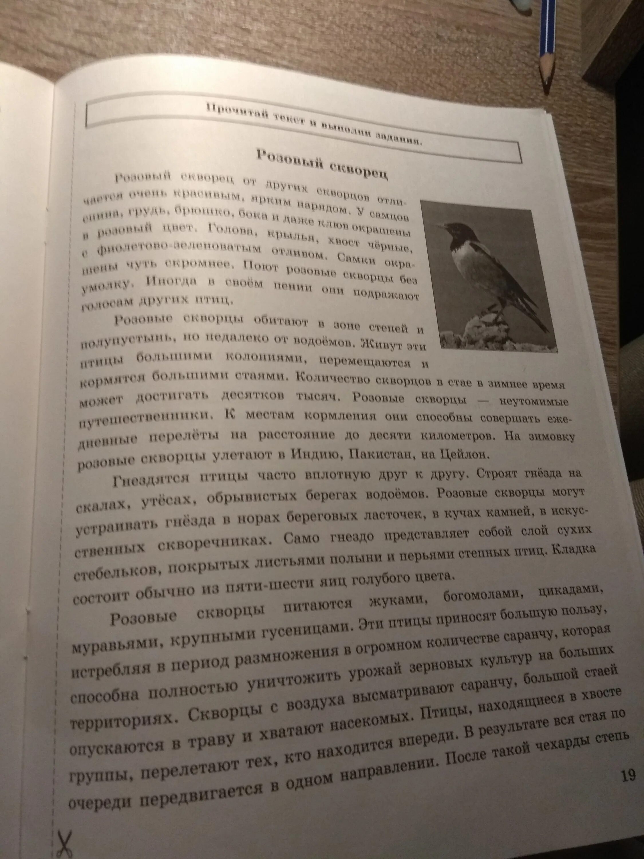 Комплексные задания к текстам .розовый скворец. Текст розовый скворец. Розовый скворец комплексная работа 4 класс ответы. Текст розовый скворец ответы.