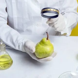 Экологическая безопасность продуктов питания