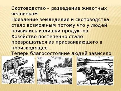 Скотоводство производящее хозяйство
