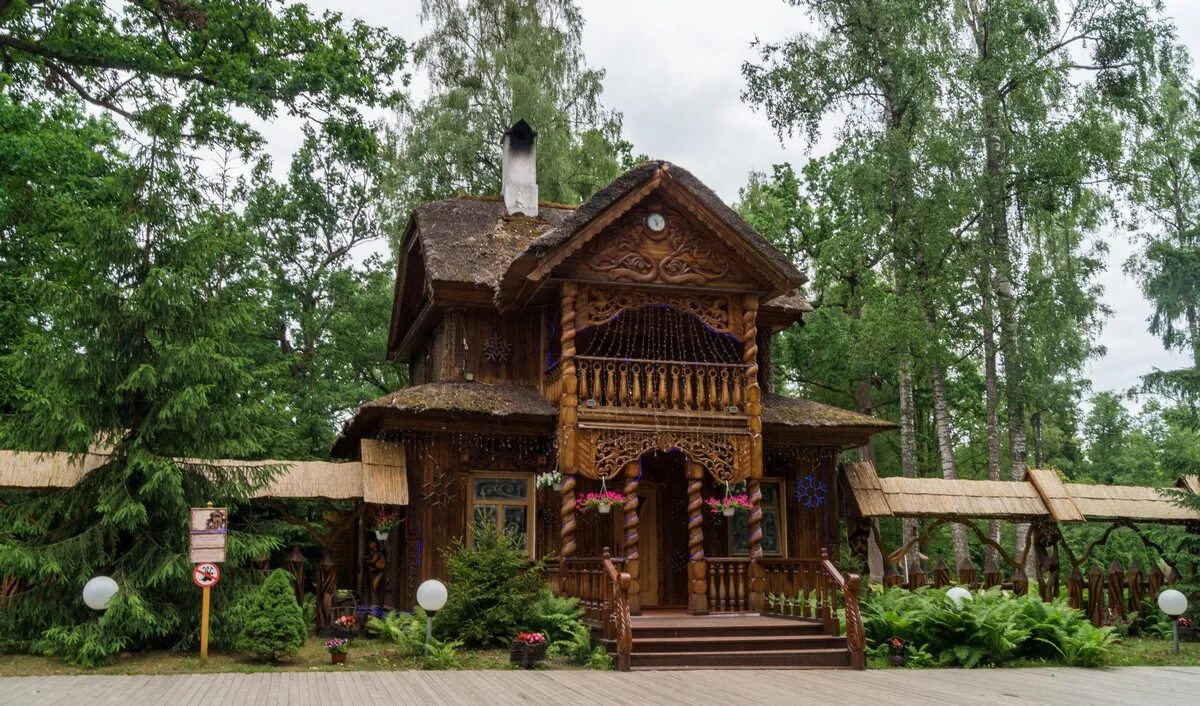 пуща в минске. беловежская пуща беларусь. белоруссия природа беловежская пуща. национальные парки беловежская пуща. беловежская пуща достопримечательности беларуси.