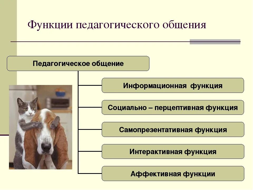 Педагогическое общение роль. Основные функции педагогического общения кратко. Каковы функции педагогического общения?. Функции педагогического общения в педагогике. Функции и структура педагогического общения.