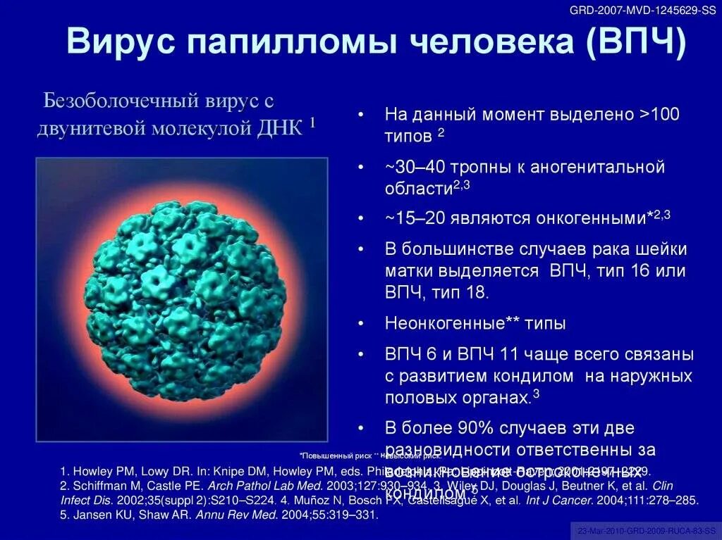 Папиломы вирус передается от человека к человеку. ВИУС папиломы человека. Вируспопиломы человека.