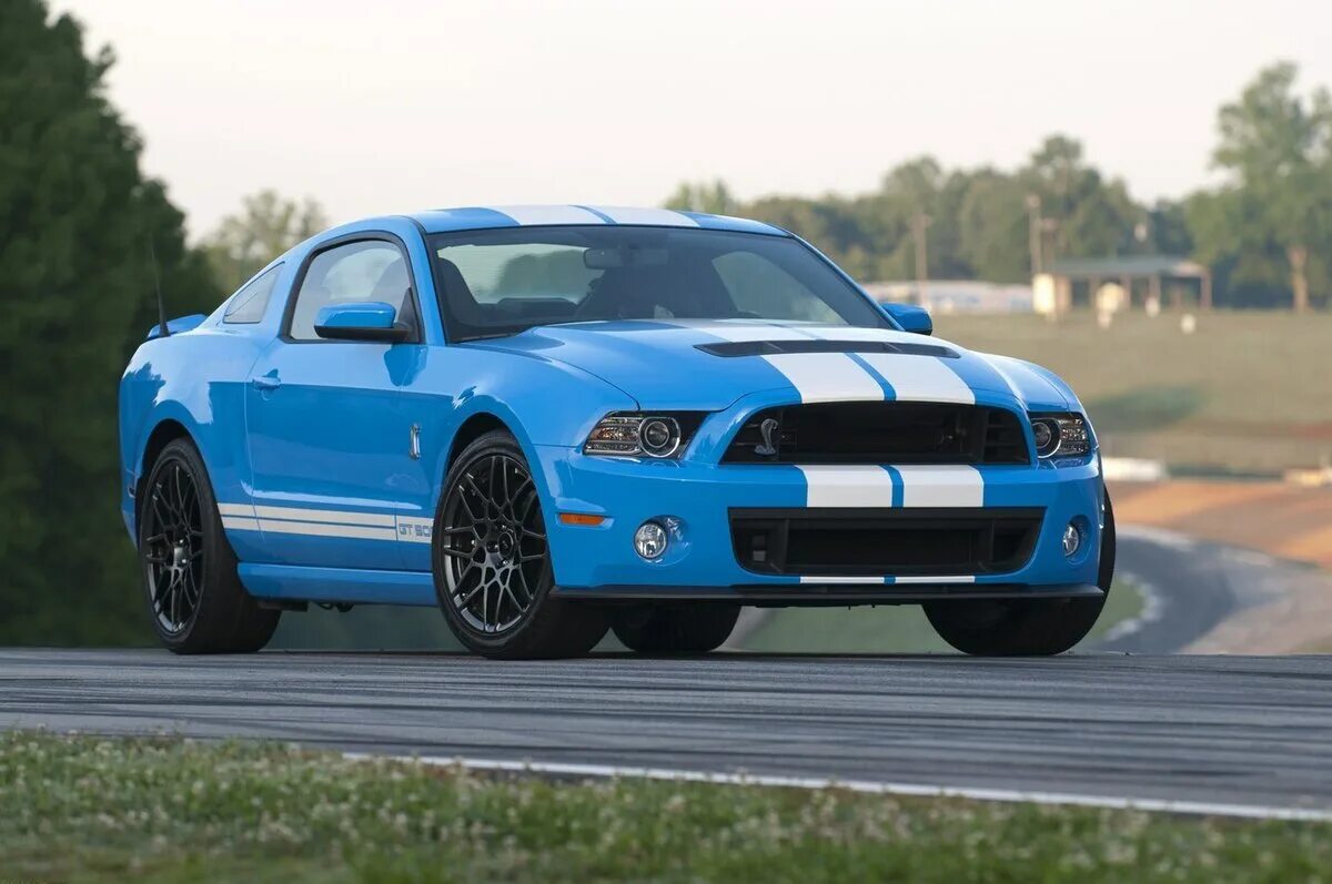 Форд мустанг шелби gt 500. Форд мустанг gt 350. Ford mustang ft 500. 2008 ford shelby gt. Форд мустанг шелби.