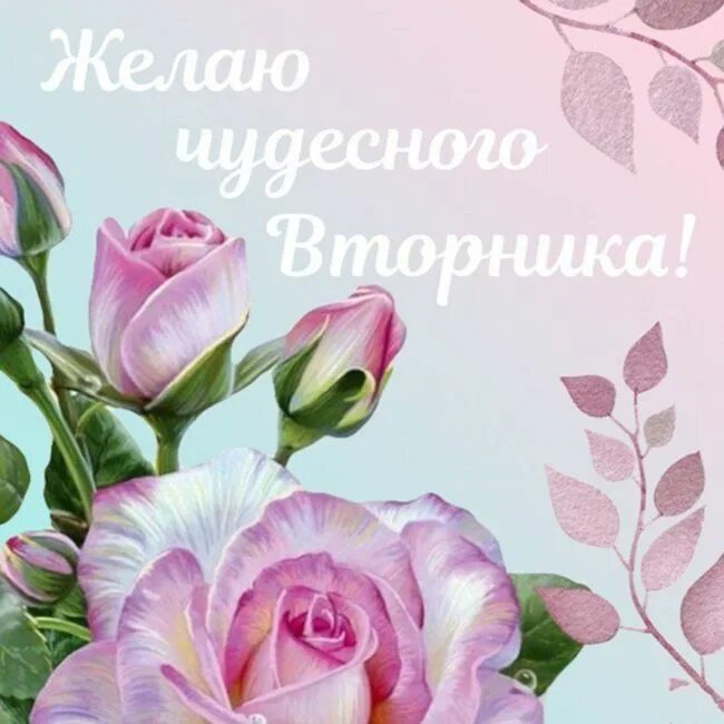 27 февраля вторник доброе утро. Поздравления со вторником. Открытки вторник. Красивые поздравления на вторник. Доброго вторника.