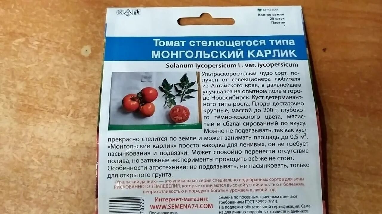 Монгольский карлик помидоры характеристика отзывы. Семена томат монгол карлик. стелющийся карлик томат. семена томат монгольский карлик уральский дачник. помидоры монгольский карлик схема посадки.