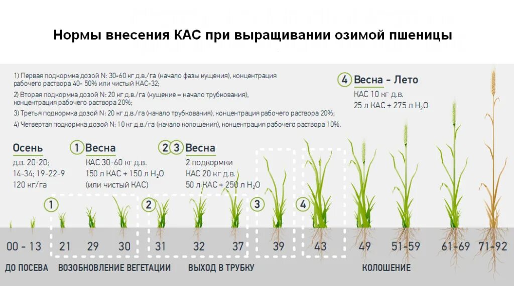 Зачем нужно вносить в почву удобрения 6