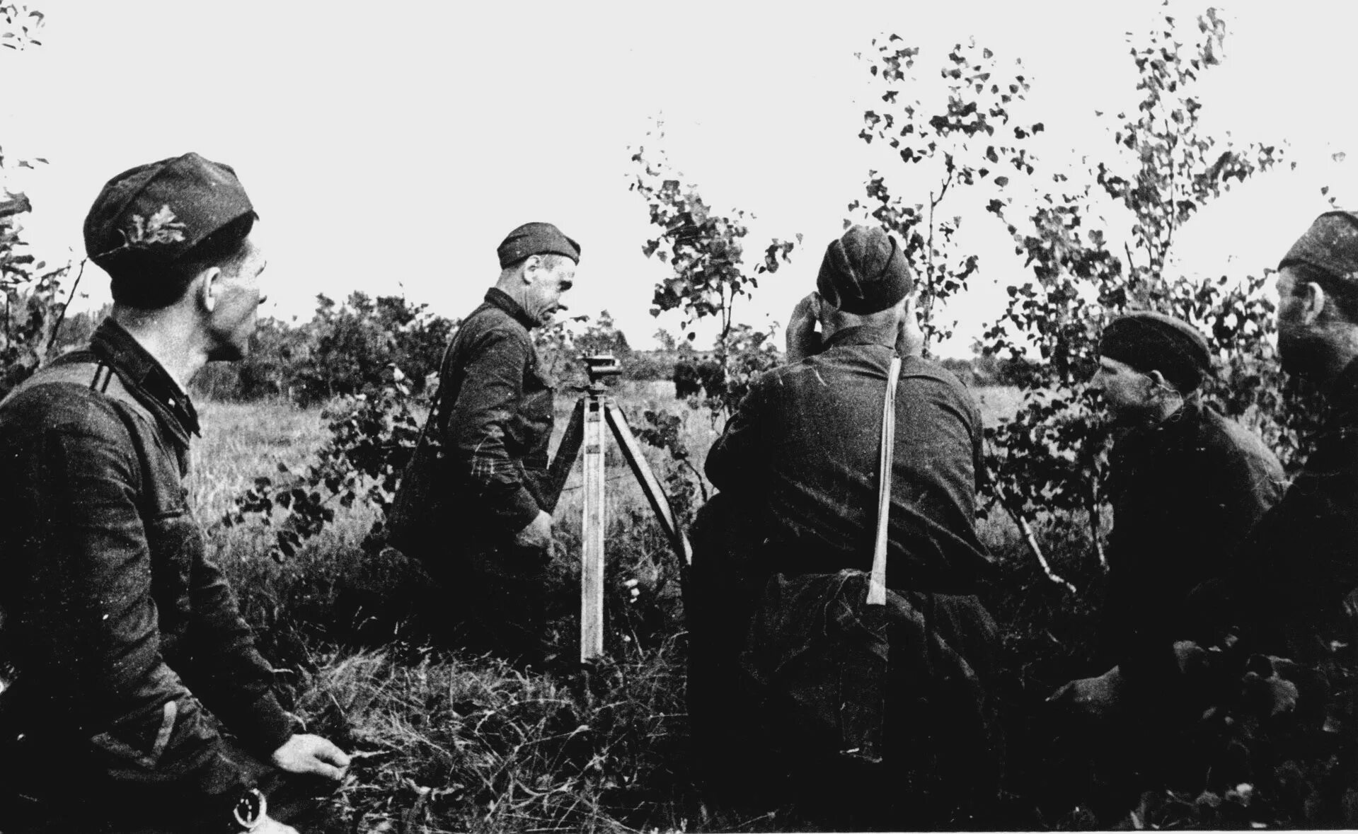 Могилев годы войны. Бой на Буйничском поле 1941. Буйничское поле 1941. 172 Стрелковая дивизия. 172 Стрелковая дивизия под Могилевом.