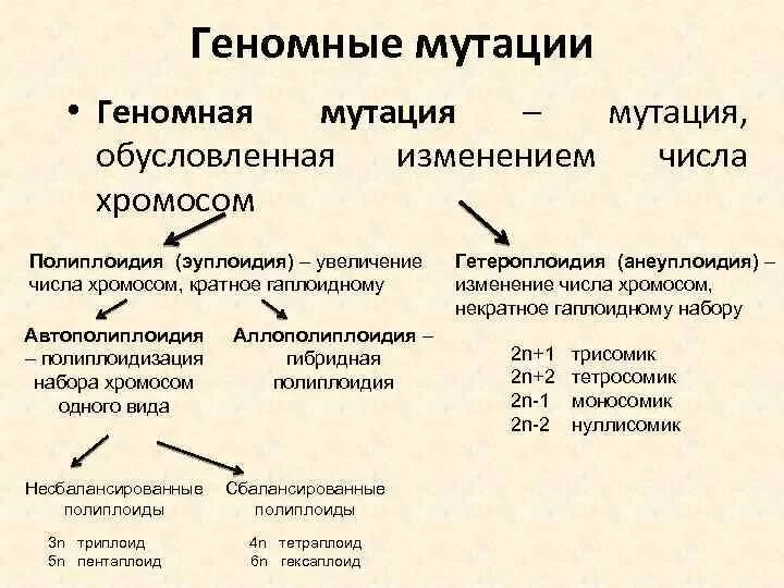 Относит изменение. Типы геномных мутаций. Геномные мутации их классификация. Геномные мутации их виды. Примеры геномнве мутаций.