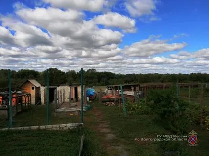 Погода раздоры волгоградской