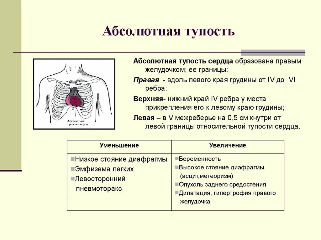 Норма форма сердца. Перкуссия границы относительной сердечной тупости в норме. Границы относительной тупости сердца в норме. Левая граница относительной тупости сердца в норме. Границы абсолютной сердечной тупости сердца в норме.