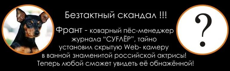 Бестактный вопрос это. Бестактный. Бестактное поведение. Бестактный человек. Кто такой бестактный человек.